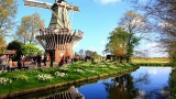 Un Siècle d’Or pour le parc Keukenhof à Amsterdam