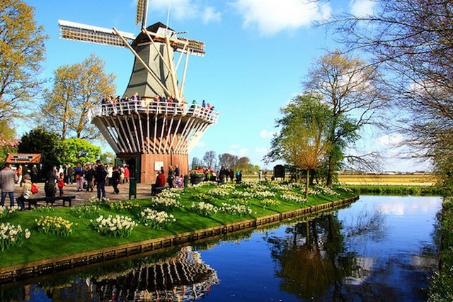 Un Siècle d’Or pour le parc Keukenhof à Amsterdam