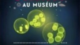 Le Musée Curie fête la Science à Paris