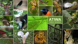 The Atewa forest reserve : tourism or a mine-site.