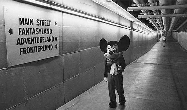 Disneyland voit le bout du tunnel