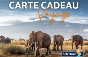 Nouveau : des cartes cadeaux voyages avec Selectour